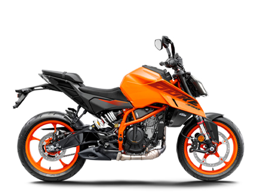 390 Duke 2024-