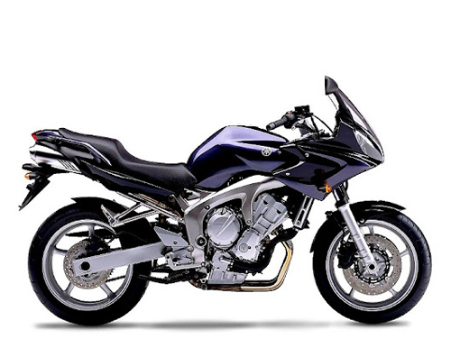 FZ 6 Fazer 2004-2006 (RJ076)