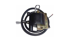 Caja electrónica ECU/CDI