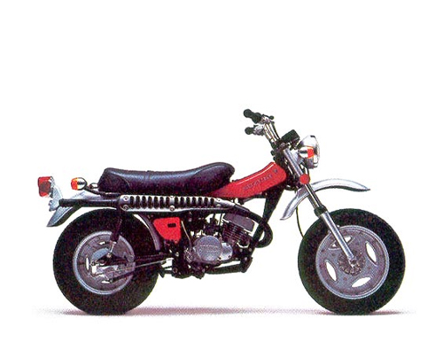 RV 125 2 tiempos 1973-1981 (RV125)