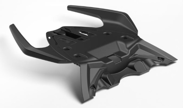 Asidero de pasajero para Aprilia RS 457 (24-)